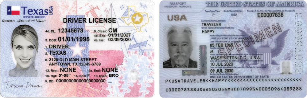 Driver License photo example