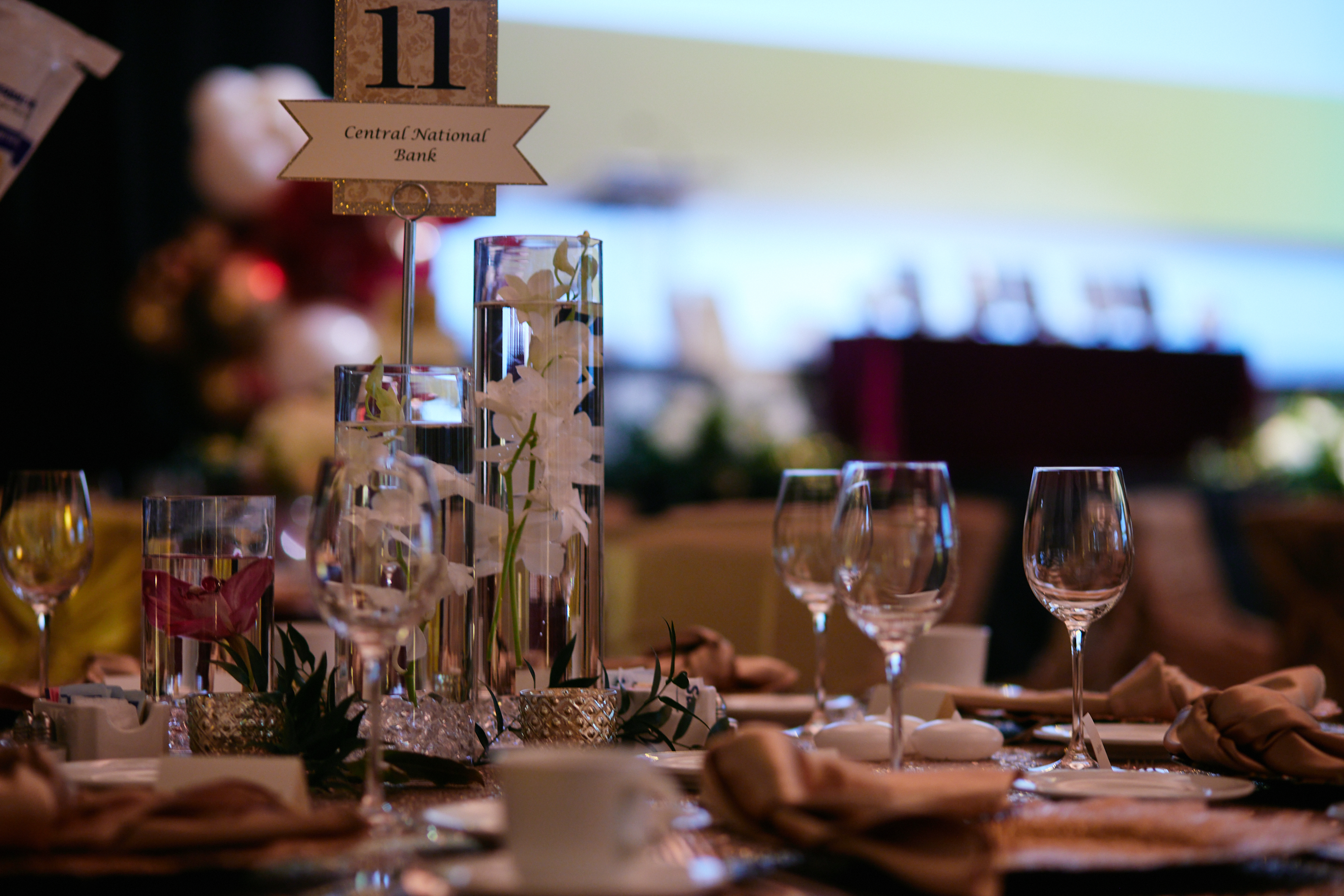gala photo