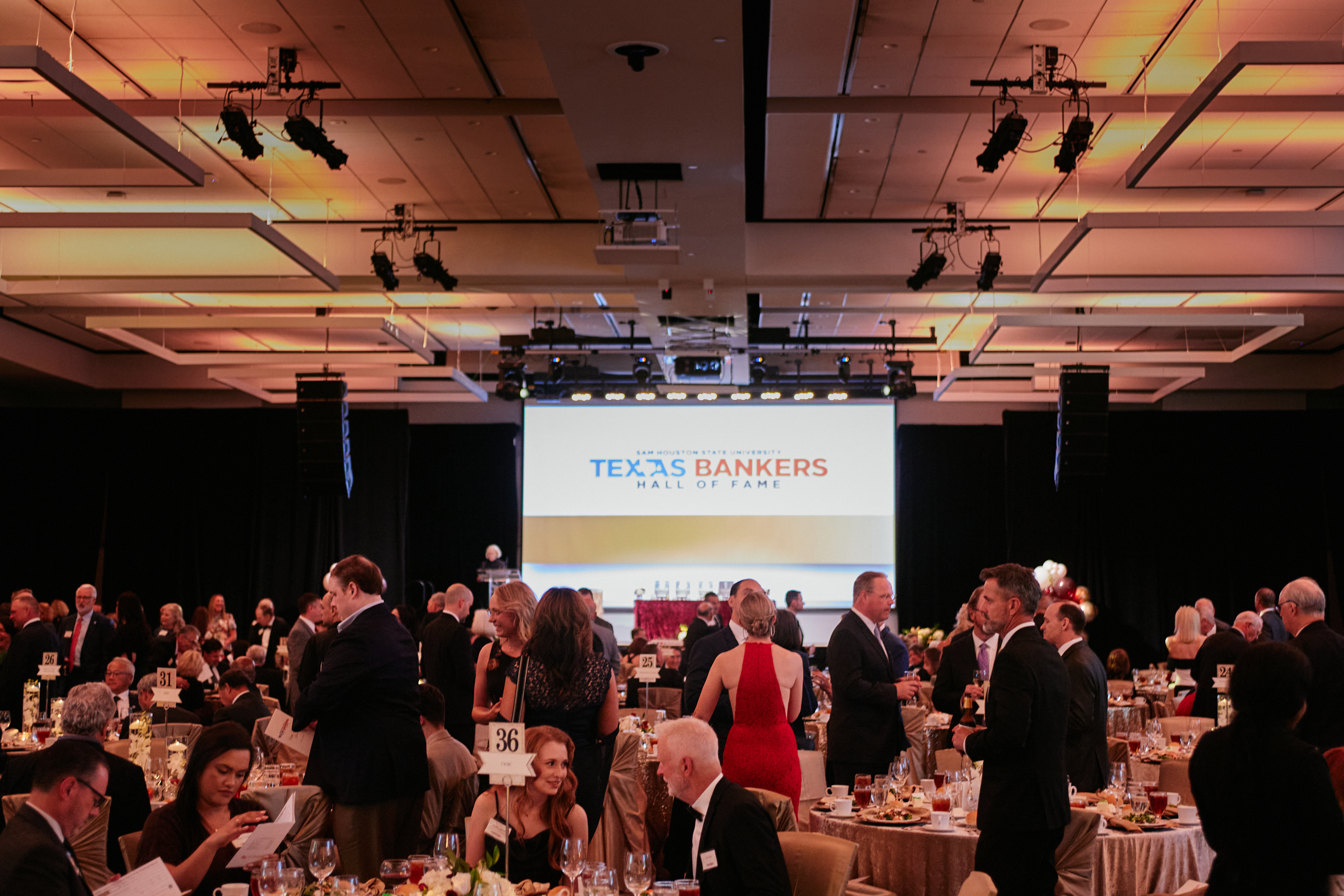 gala photo