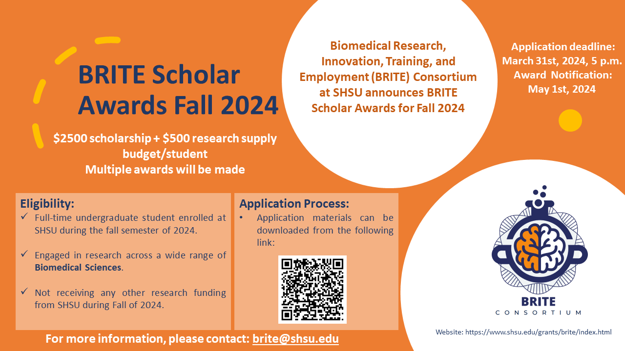 BRITE_Scholar_fund_flyer_Fall2024.png