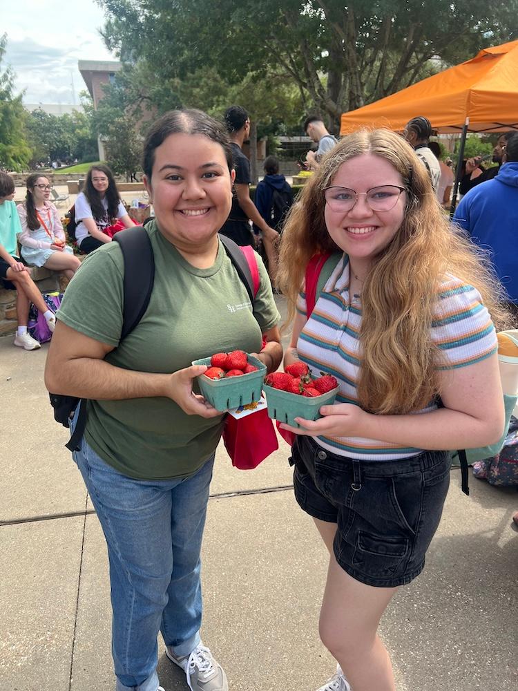 Farmer'sMarketStrawberries.jpeg