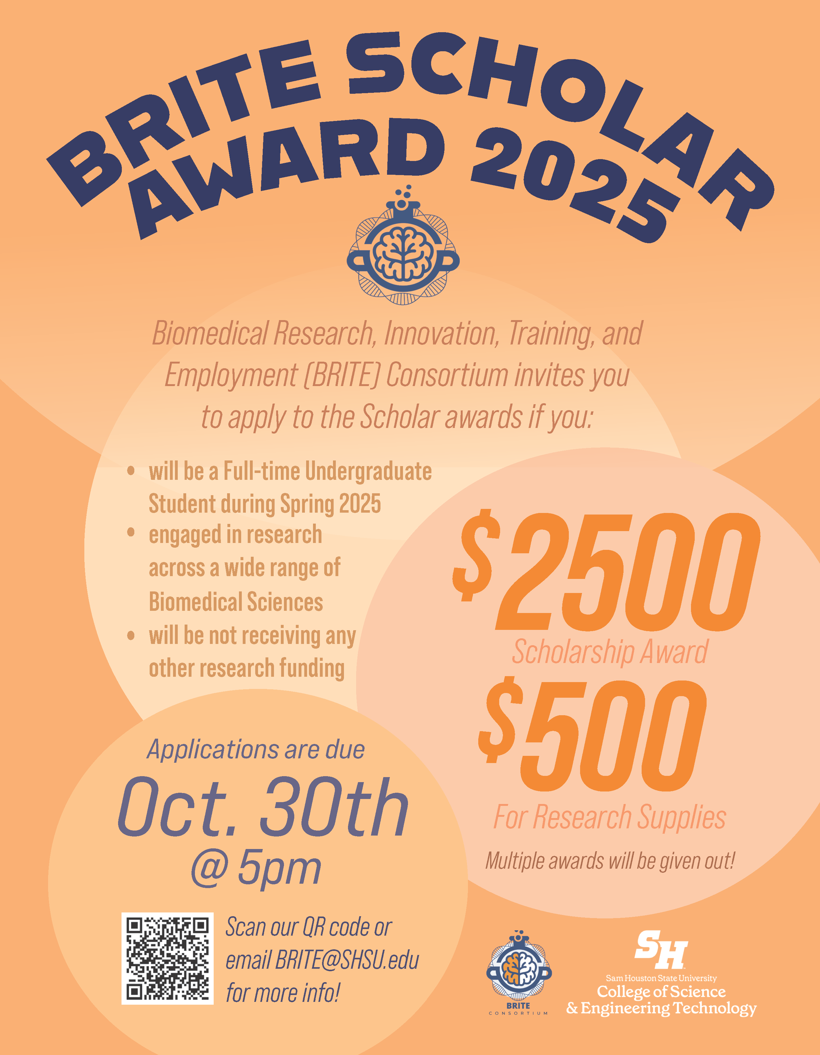 Brite_Scholarship_Flyer_Corr_S2025.png