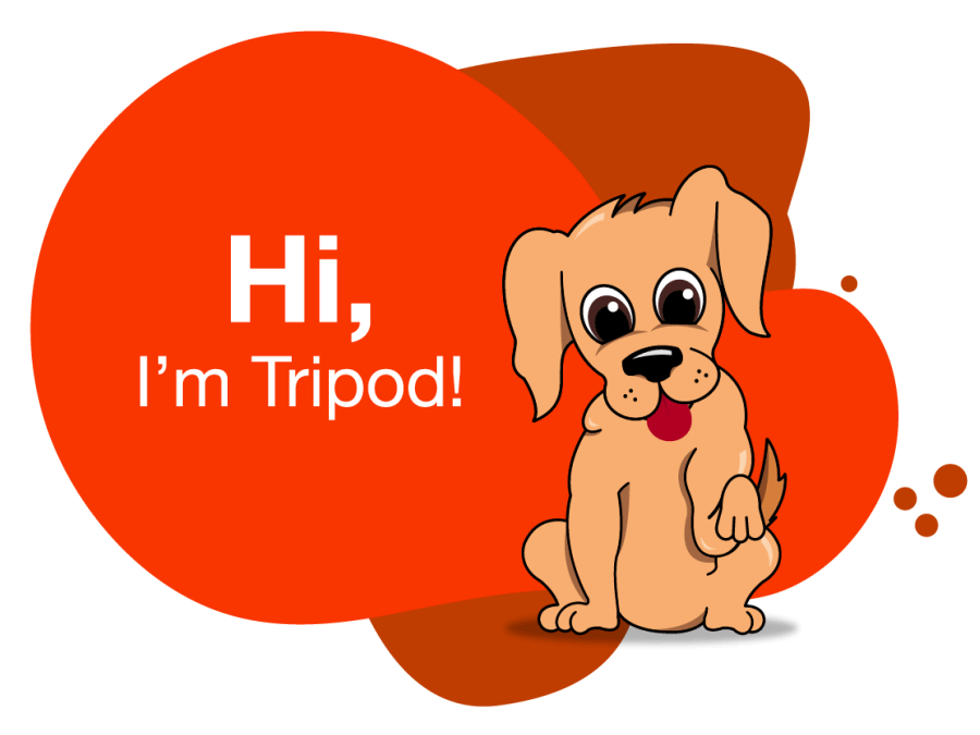 Hi, I'm Tripod