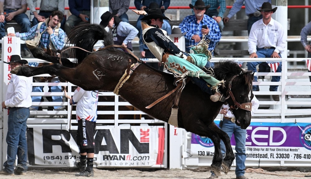 Bearkat Bronc Rider Bucks Into Arlington - Sam Houston State University